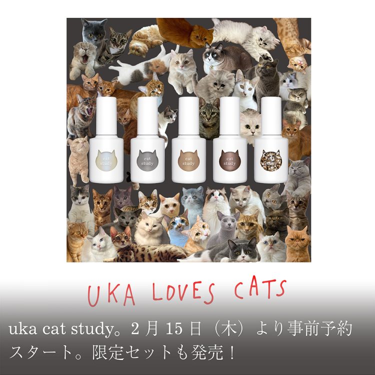 uka cat study。2月15日(木)より事前予約スタート。限定セットも発売！画像