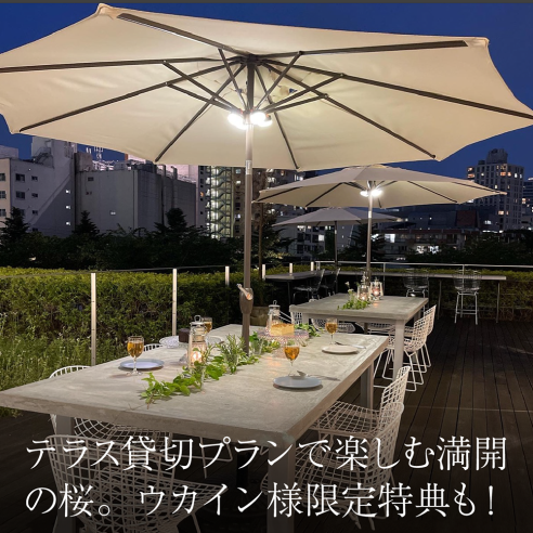 テラス貸切プランで楽しむ満開の桜。ウカインさま限定特典も!画像