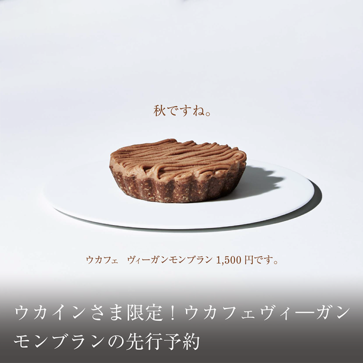 ウカインさま限定!ウカフェ ローヴィーガンモンブランの先行予約画像