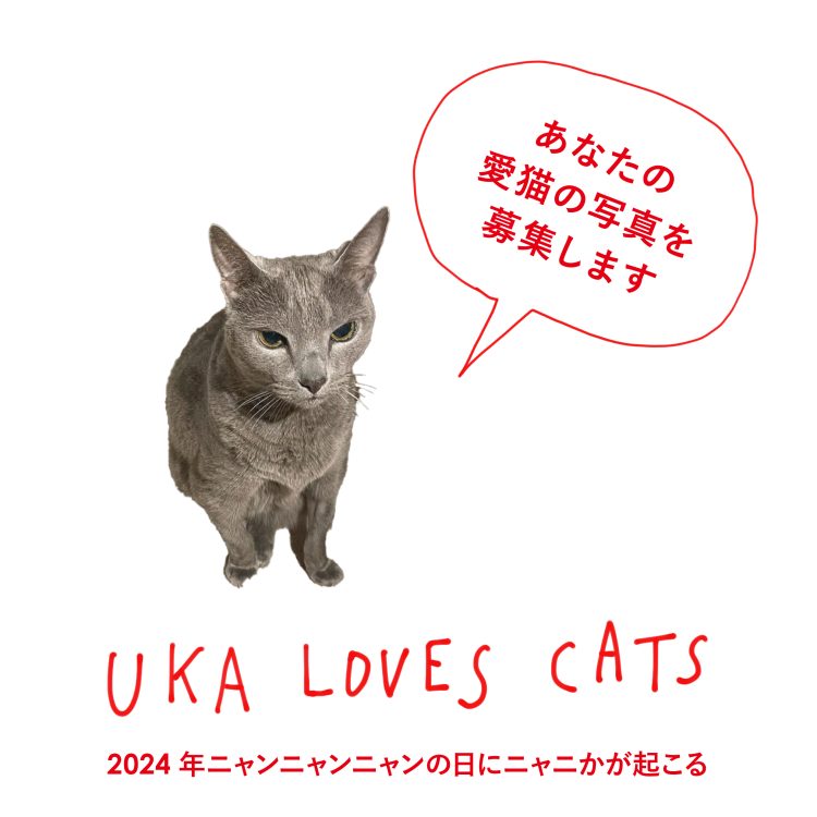 2024年ニャンニャンニャンの日にニャニかが起こる。12月12日(火)から期間限定で、あなたの愛猫の写真を大募集！画像