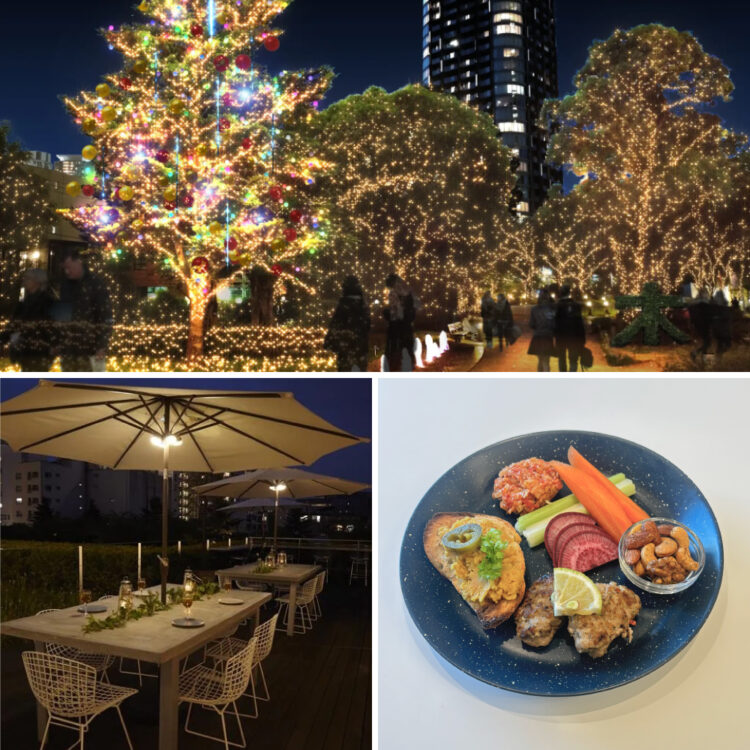 11月14日〜イルミネーションを楽しめるドリンク付きのプレートセットがスタート!画像