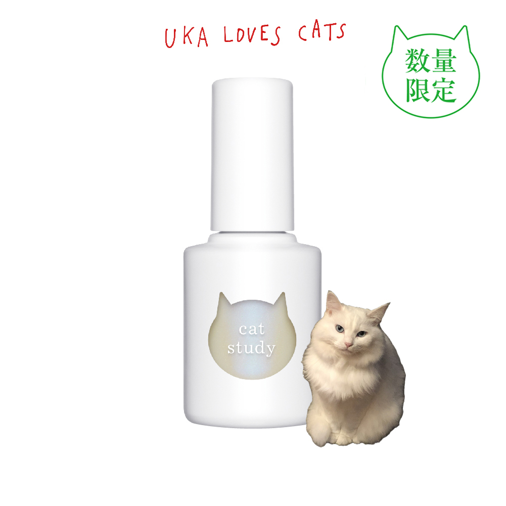 uka cat study persian white