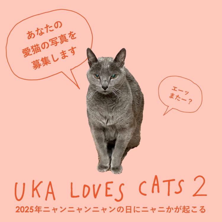 2025年ニャンニャンニャンの日にニャニかが起こる。1月15日(水)から期間限定で、あなたの愛猫の写真を大募集!画像