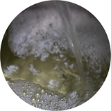 山形県庄内のコメ発酵液