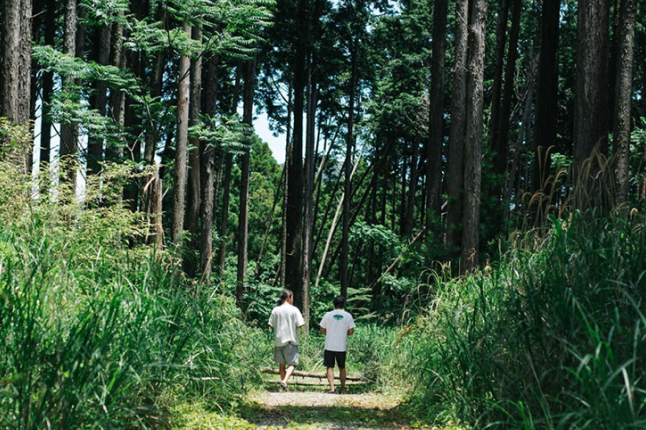 リジェネラティブビューティー