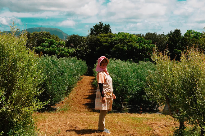 ISHIGAKIシリーズ